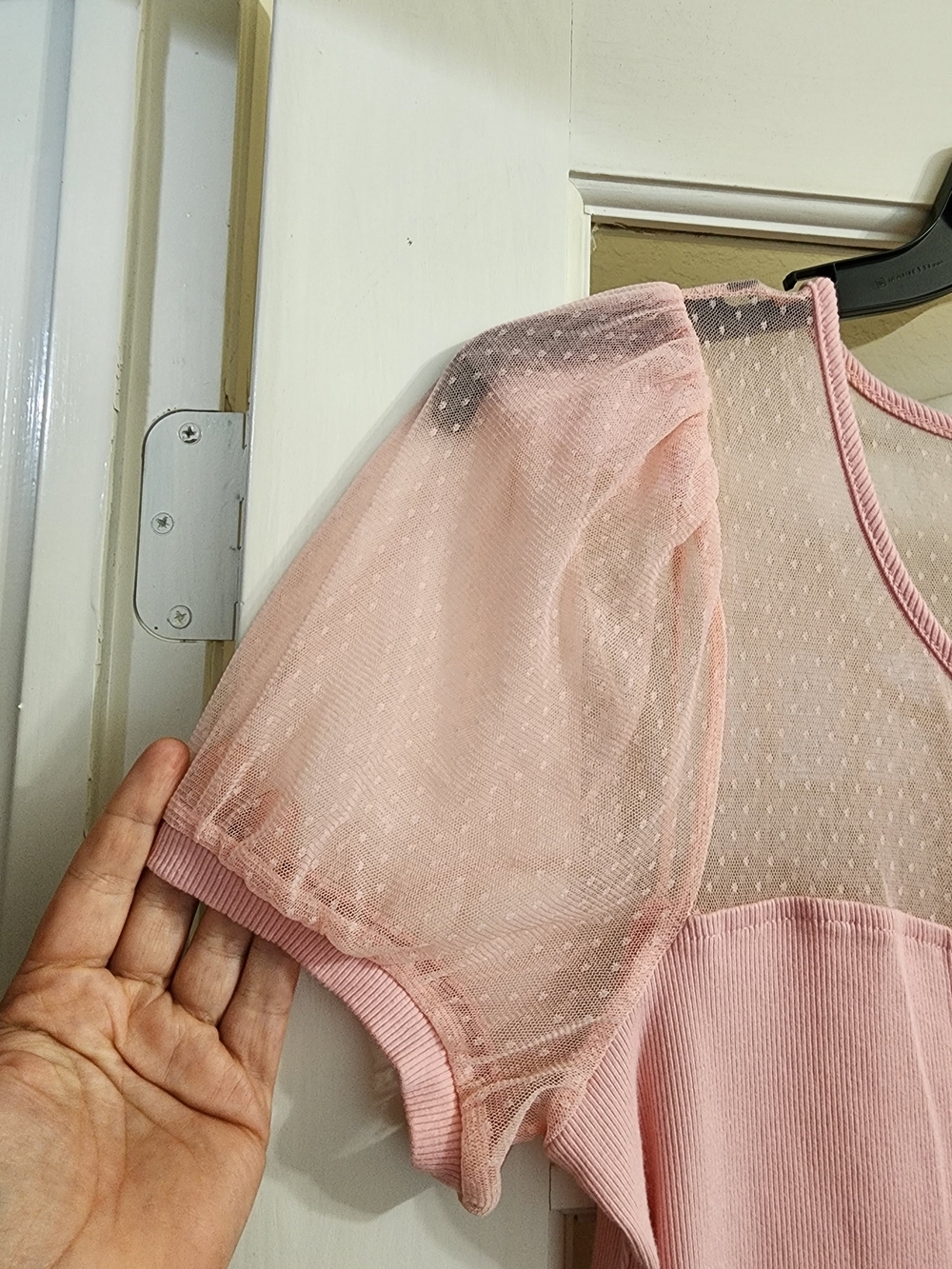 Maeve Anthropologie XL Pink Ribbed Mesh Puff Sleeve Swiss Dot Top - Picture 8 of 10